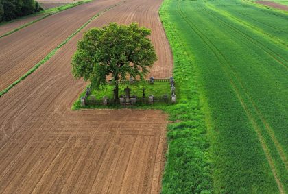 Cmentarz nr 307 Łąkta Dolna