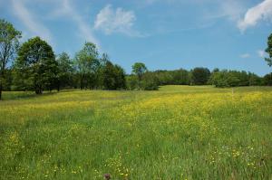 Cmentarz nr 64 Bartne