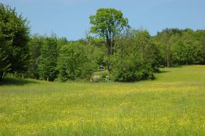 Cmentarz nr 64 Bartne