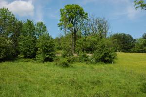 Cmentarz nr 64 Bartne