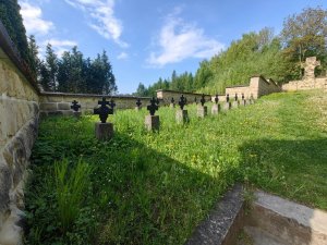 003 IMG 20250501 093522