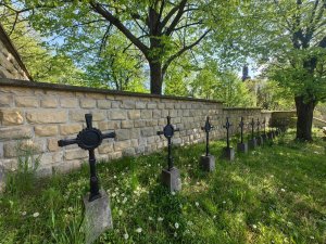 010 IMG 20250501 094158