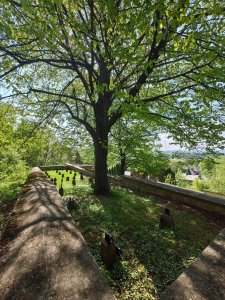 011 IMG 20250501 094327