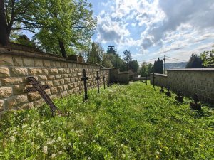 013 IMG 20250501 093636