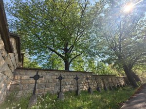 019 IMG 20250501 094805