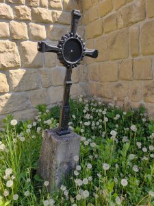 021 IMG 20250501 102849