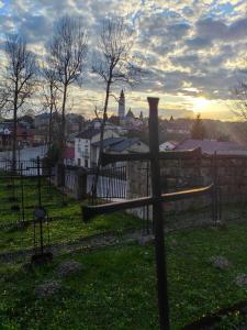 005 IMG 20250404 181952