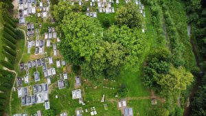 Cmentarz wojenny w Binarowej