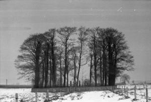 arch19 102 cm257