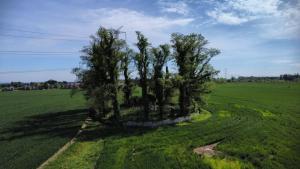 005 cm257 052024