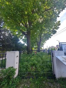 002_cm259_052024