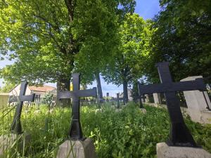008_cm259_052024