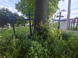 016_cm259_052024