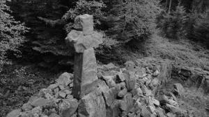 007 dji fly 20240830 074428 635 1725012985039 photo optimized