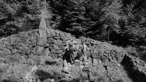 018 dji fly 20240830 121950 660 1725039216077 photo optimized