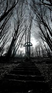 001 IMG-20250310-WA0065