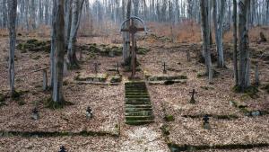 dji fly 20250309 125530 741 1741534838726 photo optimized