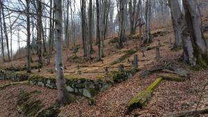 dji fly 20250309 130442 758 1741534821458 photo optimized