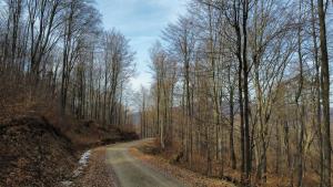 dji fly 20250309 130508 760 1741521951752 photo optimized