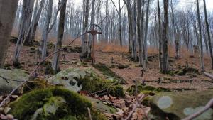 dji fly 20250309 130904 762 1741534834101 photo optimized