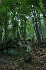 Cmentarz nr 69 Przegonina Bodaki