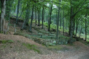 Cmentarz nr 69 Przegonina Bodaki