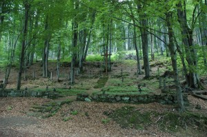 Cmentarz nr 69 Przegonina Bodaki