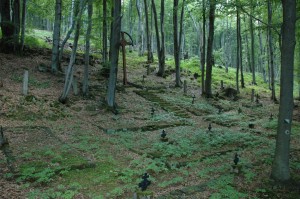 Cmentarz nr 69 Przegonina Bodaki