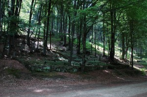 Cmentarz nr 69 Przegonina Bodaki