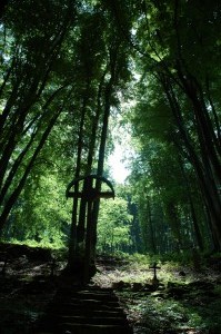 Cmentarz nr 69 Przegonina Bodaki