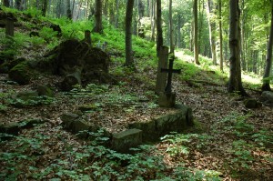 Cmentarz nr 69 Przegonina Bodaki