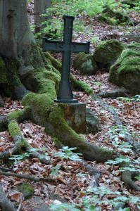 Cmentarz nr 69 Przegonina Bodaki