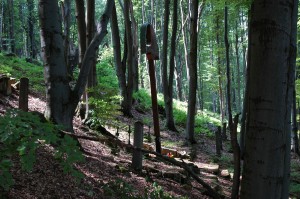 Cmentarz nr 69 Przegonina Bodaki