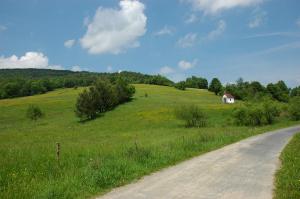 bodaki_kapliczka_DSC_9750