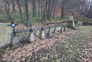 Chojnik-cm150 012023 05