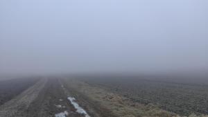 022 IMG-20241228-WA0011