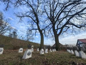 Cmentarz wojenny nr 209 Glów