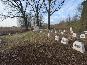 Cmentarz wojenny nr 209 Glów