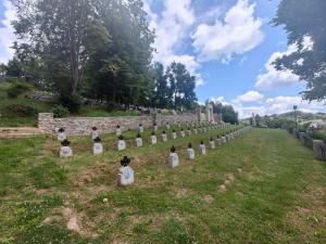 Cmentarz wojenny nr 190 Janowice - czerwiec 2024.