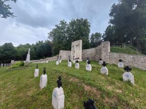 Cmentarz wojenny nr 190 Janowice - czerwiec 2024.