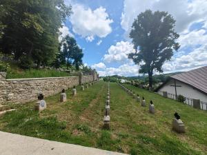 Cmentarz wojenny nr 190 Janowice - czerwiec 2024.