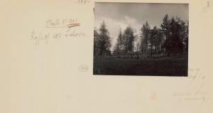 29 275 0 - 61 147 8324282