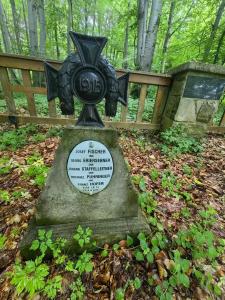 Cmentarz wojenny nr 187 w Lichwinie.