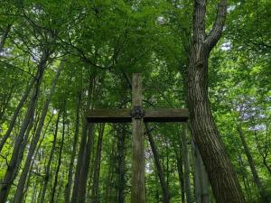 Cmentarz wojenny nr 187 w Lichwinie.