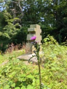 006 - Ożenna lipiec 2023