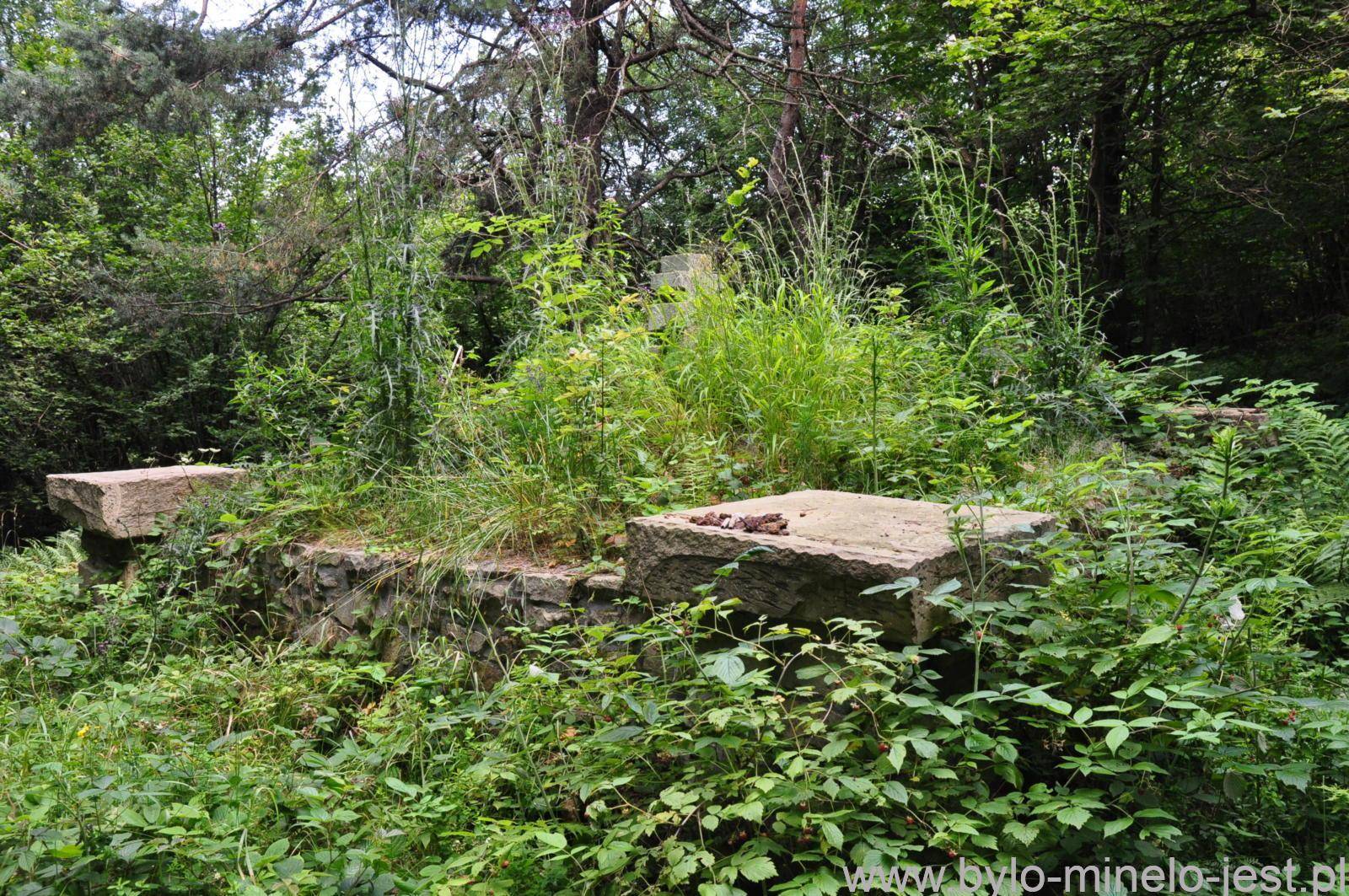 Cmentarz wojenny nr 1 Ożenna