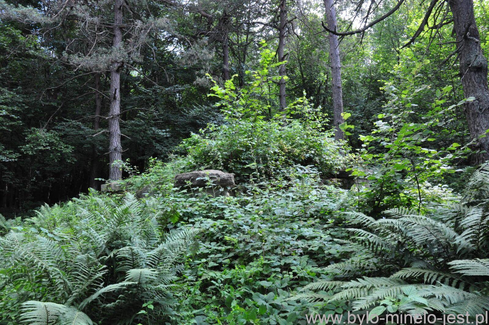 Cmentarz wojenny nr 1 Ożenna