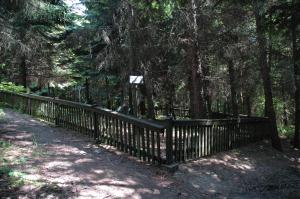 Cmentarz wojenny nr 103