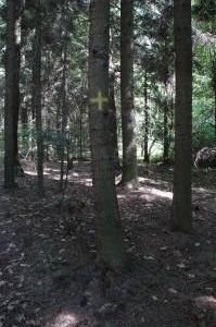 Cmentarz wojenny nr 103