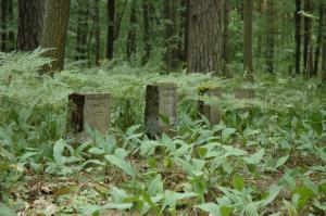 Pawlikowice cmentarz wojenny